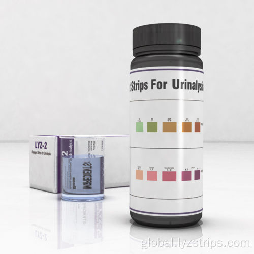 Factory Urine Ketone Test Strips urine glucose ketone test strip URS-2K Supplier